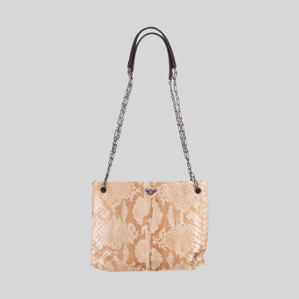 Prada Python Chain Bag - image 1